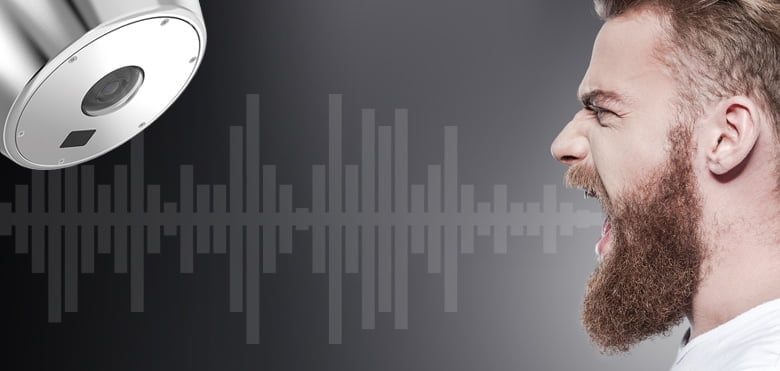 UAE'S Hikvision CCTV Cameras for Managing Noise 2 Audio Data for Proactive Solutions